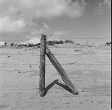 Load image into Gallery viewer, Hasselblad 503CX + CF 80mm 2.8 T* + A12
