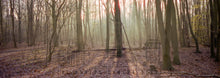 Load image into Gallery viewer, Hasselblad XPAN, 45 + 90mm set | Low shutter count 0097
