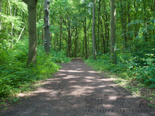 Afbeelding in Gallery-weergave laden, Hasselblad Carl Zeiss Distagon CF FLE 40mm 4.0 T* | READ
