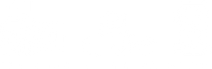 TheAnalogCameraStoreLogo