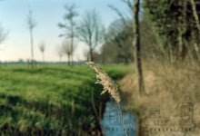 Afbeelding in Gallery-weergave laden, Leica R8 + Leica summicron-R 50mm 2.0 E55 ROM
